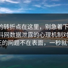 事情的转折点在这里，别急着下结论：91爆料网数据泄露的心理机制对上了，真正的问题不在表面，一秒就懂了