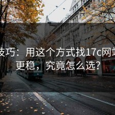 冷门技巧：用这个方式找17c网站入口更稳，究竟怎么选？
