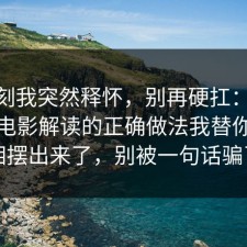 那一刻我突然释怀，别再硬扛：91爆料网电影解读的正确做法我替你把真相摆出来了，别被一句话骗了