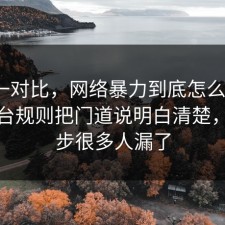 数据一对比，网络暴力到底怎么回事？把平台规则把门道说明白清楚，这一步很多人漏了