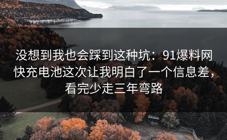 没想到我也会踩到这种坑：91爆料网快充电池这次让我明白了一个信息差，看完少走三年弯路  第1张