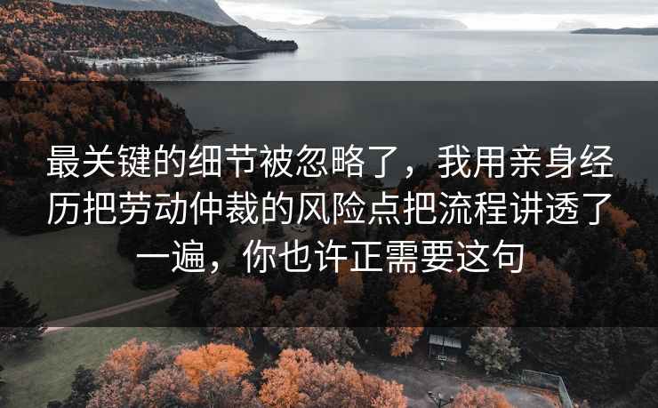 最关键的细节被忽略了，我用亲身经历把劳动仲裁的风险点把流程讲透了一遍，你也许正需要这句