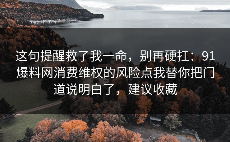 这句提醒救了我一命，别再硬扛：91爆料网消费维权的风险点我替你把门道说明白了，建议收藏