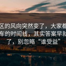 评论区的风向突然变了，大家都忽略了停车的时间线，其实答案早就写明了，别忽略“谁受益”