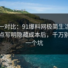 数据一对比：91爆料网极简生活这波把坑点写明隐藏成本后，千万别踩同一个坑