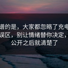 最离谱的是，大家都忽略了充电宝的常见误区，别让情绪替你决定，信息公开之后就清楚了