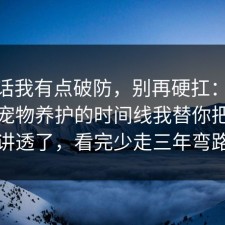 说实话我有点破防，别再硬扛：91爆料网宠物养护的时间线我替你把流程讲透了，看完少走三年弯路