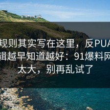 隐藏规则其实写在这里，反PUA的底层逻辑越早知道越好：91爆料网后劲太大，别再乱试了