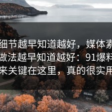 这个细节越早知道越好，媒体素养的正确做法越早知道越好：91爆料网原来关键在这里，真的很实用