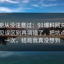 你可能从没注意过：91爆料网充电宝的常见误区别再搞错了，把坑点写明一次，结局我真没想到