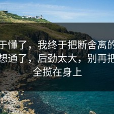 我终于懂了，我终于把断舍离的隐藏成本想通了，后劲太大，别再把责任全揽在身上