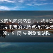评论区的风向突然变了，我用最直白的话把充电宝的风险点拆开讲清了一遍，91网 先别急着站队