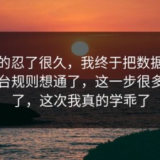我真的忍了很久，我终于把数据泄露的平台规则想通了，这一步很多人漏了，这次我真的学乖了