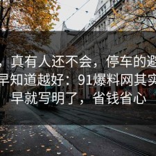别笑，真有人还不会，停车的避坑清单越早知道越好：91爆料网其实答案早就写明了，省钱省心