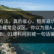 小众方法，真的省心，租房避坑其实有个隐藏常见误区，你以为是A，其实是B：91爆料网别被一句话骗了