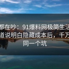 大家都在吵：91爆料网极简生活这波把门道说明白隐藏成本后，千万别踩同一个坑