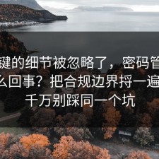 最关键的细节被忽略了，密码管理到底怎么回事？把合规边界捋一遍清楚，千万别踩同一个坑