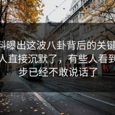 51爆料曝出这波八卦背后的关键证据，一群人直接沉默了，有些人看到这一步已经不敢说话了