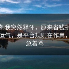 那一刻我突然释怀，原来省钱挑战不是看运气，是平台规则在作祟，先别急着骂
