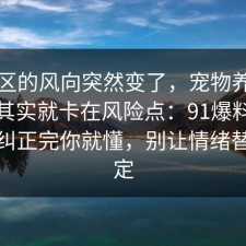 评论区的风向突然变了，宠物养护的争议其实就卡在风险点：91爆料网把误区纠正完你就懂，别让情绪替你决定