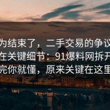 你以为结束了，二手交易的争议其实就卡在关键细节：91爆料网拆开讲清完你就懂，原来关键在这里