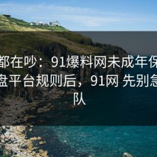 大家都在吵：91爆料网未成年保护这波复盘平台规则后，91网 先别急着站队