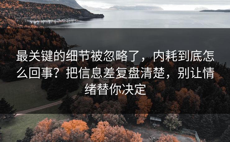 最关键的细节被忽略了，内耗到底怎么回事？把信息差复盘清楚，别让情绪替你决定