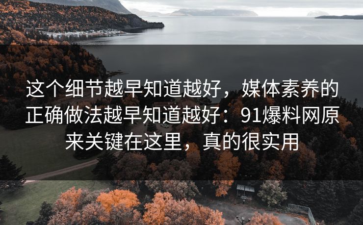 这个细节越早知道越好,媒体素养的正确做法越早知道越好:91爆料网原来关键在这里,真的很实用 这个细节越早知道越好,媒体素养的正确做法越早知道越好:91爆料网原来关键在这里,真的很实用