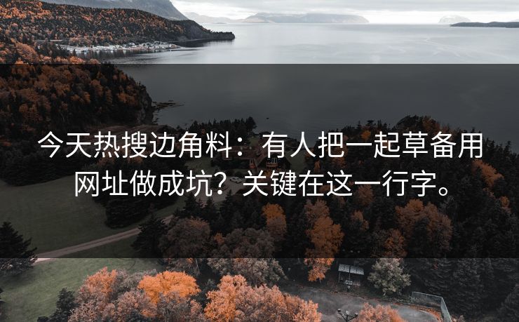 今天热搜边角料：有人把一起草备用网址做成坑？关键在这一行字。  第1张